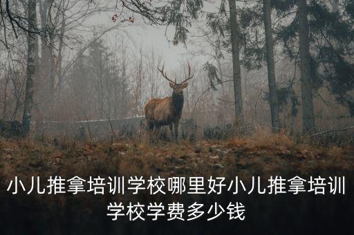 泉州小儿推拿哪里好,小儿推拿培训哪家好