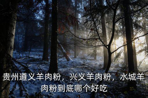 什么地方的羊肉粉好吃,水城羊肉粉到底哪个好吃