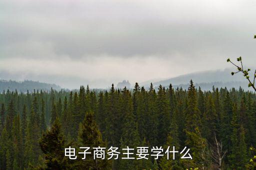 电子商务主要学什么