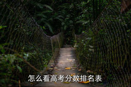 怎么看高考分数排名表