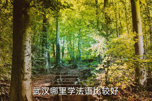 武汉学法语去哪里,武汉哪里学法语比较好