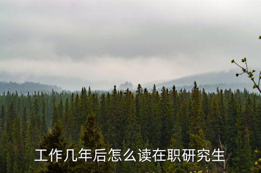 职研究生怎么读,工作几年后怎么读在职研究生