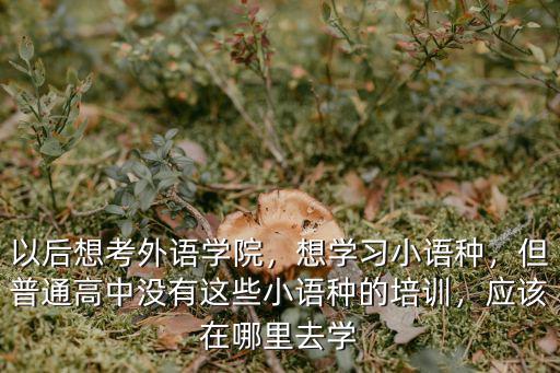 以后想考外语学院，想学习小语种，但普通高中没有这些小语种的培训，应该在哪里去学