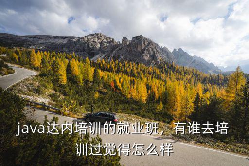 java达内培训的就业班，有谁去培训过觉得怎么样