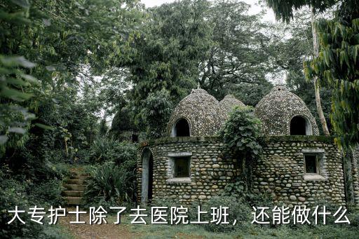 护士业余能做什么,护士离开医院可以做什么