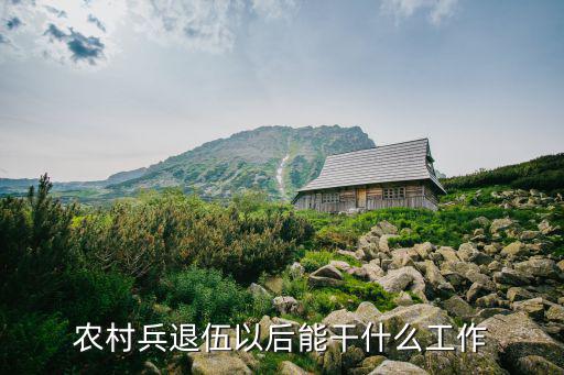 农村兵退伍以后能干什么工作