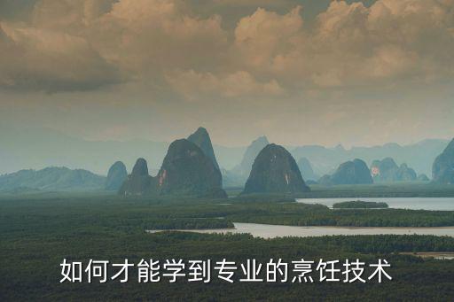 如何才能学到专业的烹饪技术