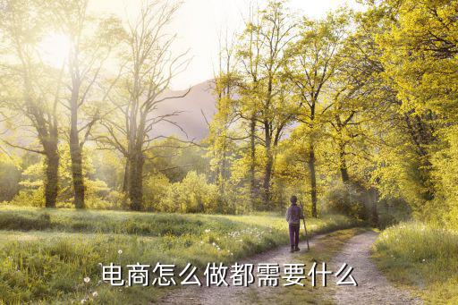 电商怎么做都需要什么