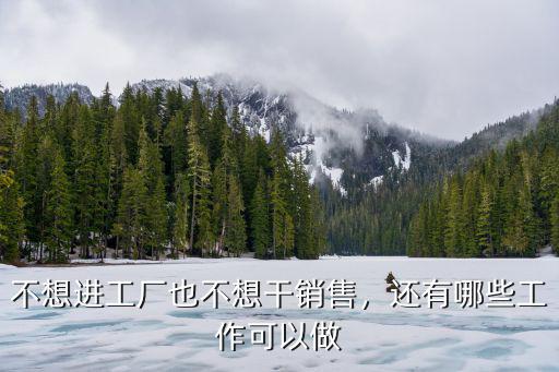 本科不想进厂做什么好,不想进工厂也不想干销售