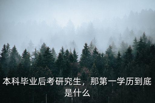 本科毕业后考研究生，那第一学历到底是什么