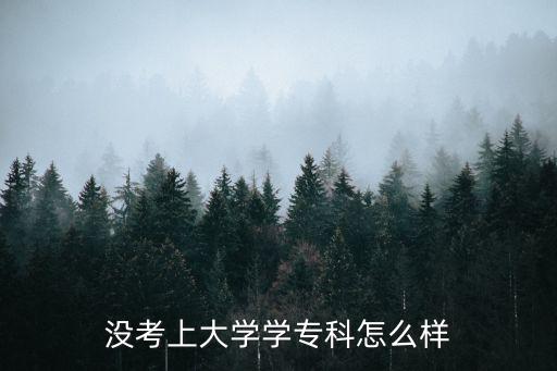 没考上大学学专科怎么样