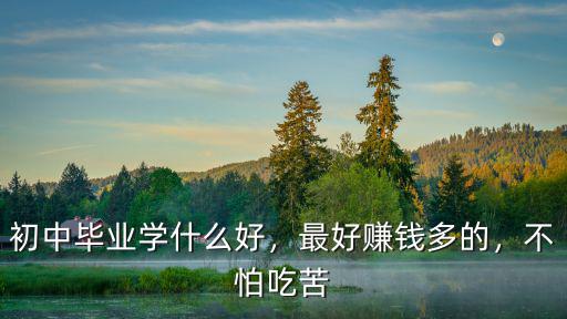 初中毕业学什么好，最好赚钱多的，不怕吃苦