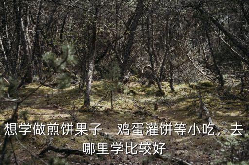 学小吃到山东哪里好,山东找小吃培训学校去哪里好