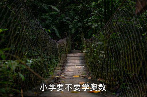 龙港哪里教小学奥数,小学奥数有哪几种类型