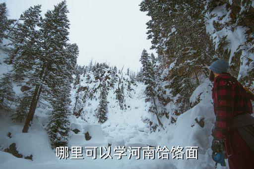 哪里可以学河南饸饹面