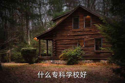 专科什么学校最好,女孩上什么专科院校比较好