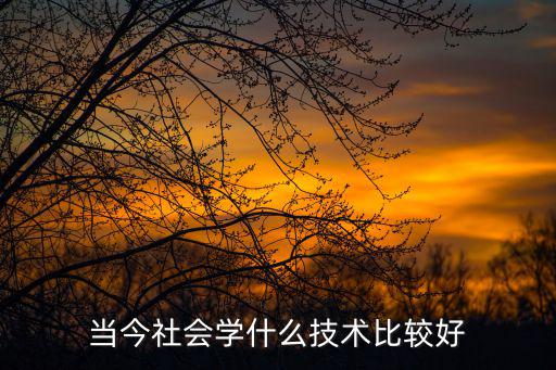 什么技术比较好,当今社会学什么技术比较好