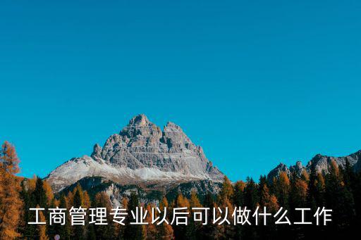 工商管理专业以后可以做什么工作