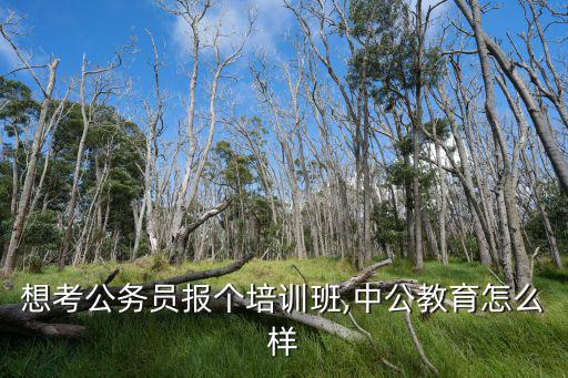 想考公务员报个培训班,中公教育怎么样