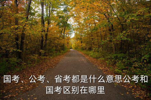 国考和省考后去什么单位,省考都是什么意思