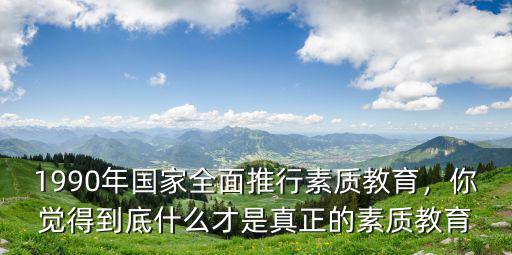 1990年国家全面推行素质教育，你觉得到底什么才是真正的素质教育
