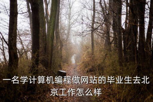 在北京学编程怎么样,在北京已经工作3年了