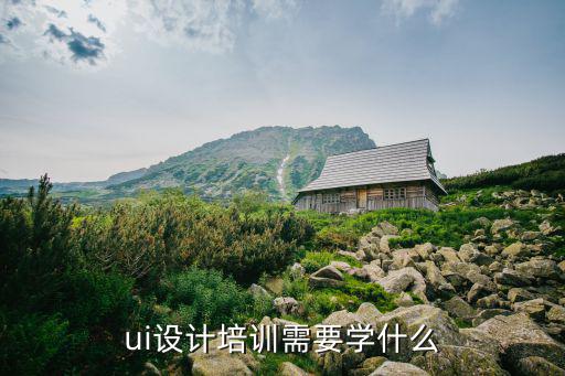 ui设计培训需要学什么