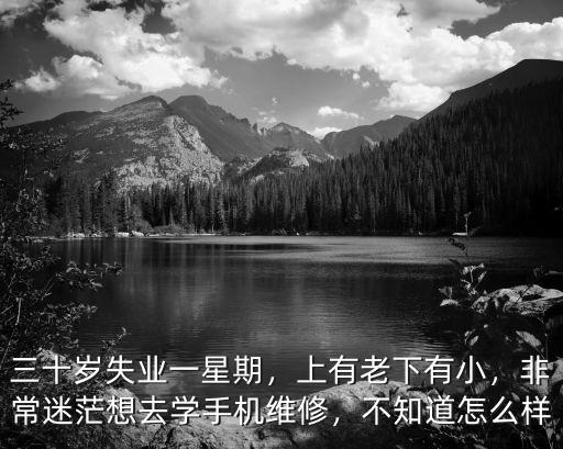 三十岁失业一星期，上有老下有小，非常迷茫想去学手机维修，不知道怎么样