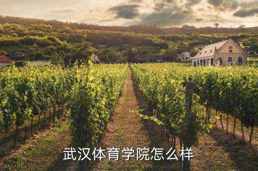 武汉体育学院怎么样