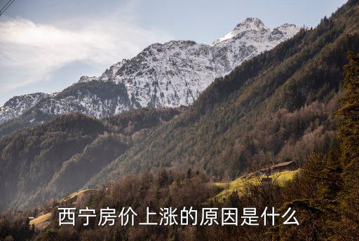 西宁房价上涨的原因是什么