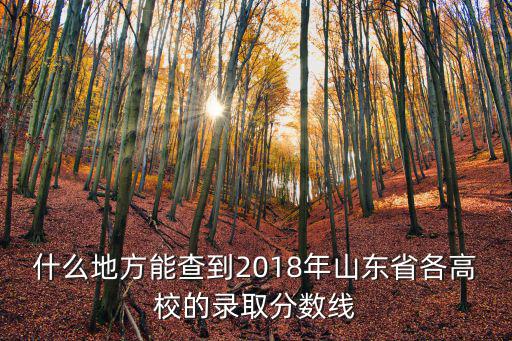 什么地方能查到2018年山东省各高校的录取分数线