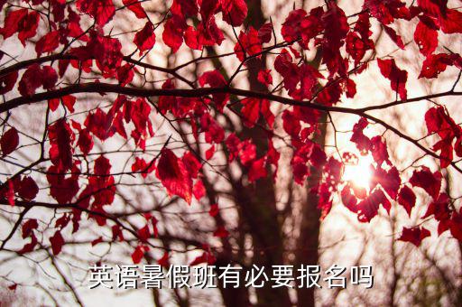 英语暑假班有必要报名吗