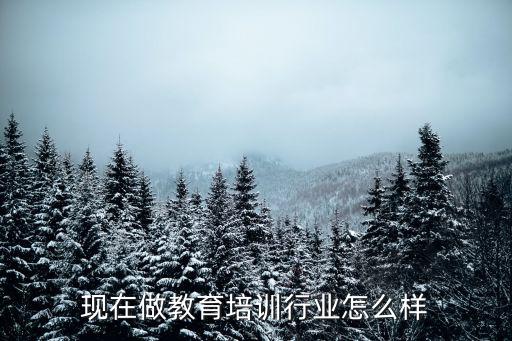 现在做教育培训行业怎么样