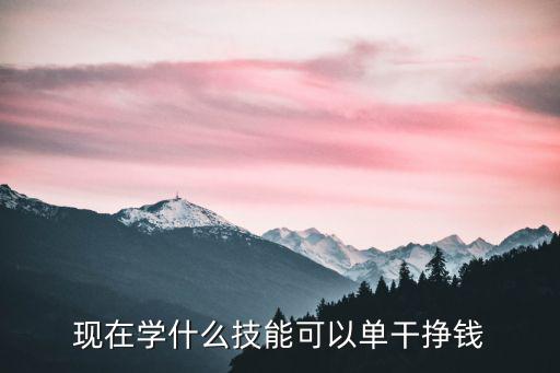 现在学什么比较挣钱,现在学什么技能可以单干挣钱