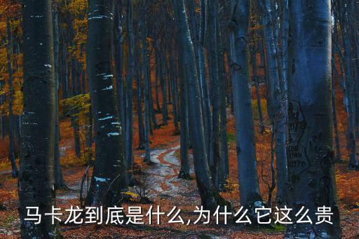 马卡龙表面装饰是什么,马卡龙到底是什么