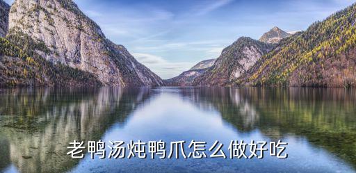 老鸭汤炖鸭爪怎么做好吃