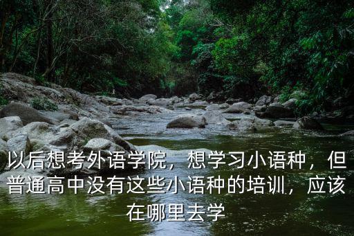 以后想考外语学院，想学习小语种，但普通高中没有这些小语种的培训，应该在哪里去学