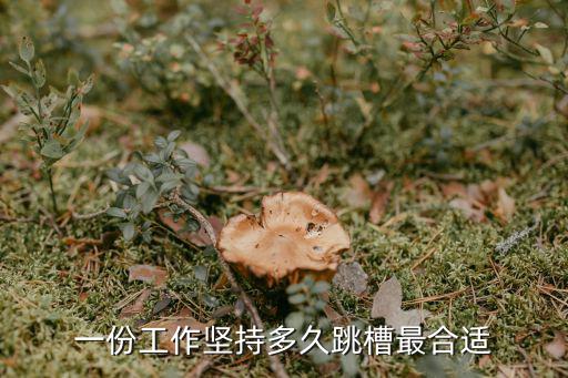 一份工作坚持多久跳槽最合适