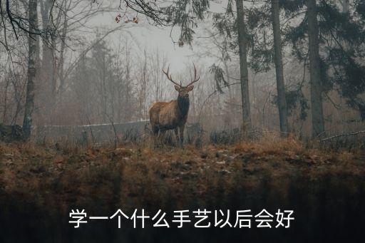 学一个什么手艺以后会好