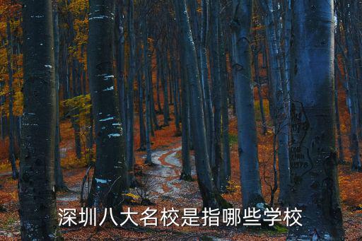 深圳八大名校是指哪些学校