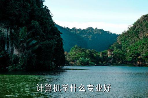 做电脑要学什么专业,学什么专业好