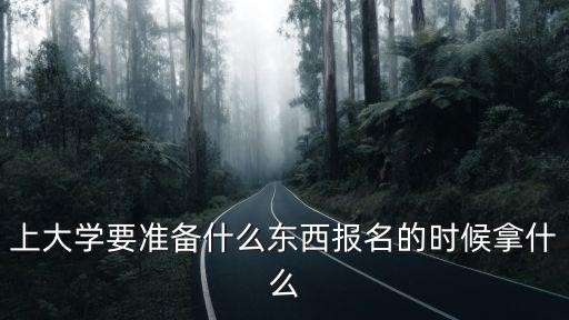 网络大学报名要带什么东西,上大学要准备什么东西