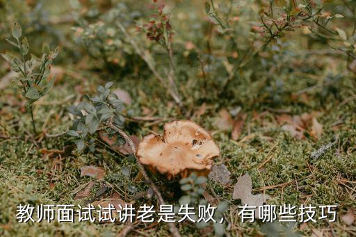 教师面试试讲老是失败，有哪些技巧