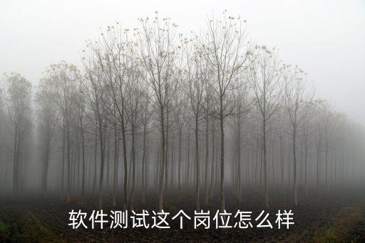 软件测试前景怎么样,报班学习软件测试怎么样