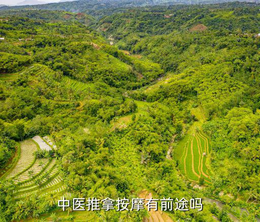 中医推拿按摩有前途吗