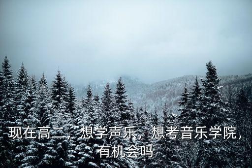 现在高二，想学声乐，想考音乐学院，有机会吗