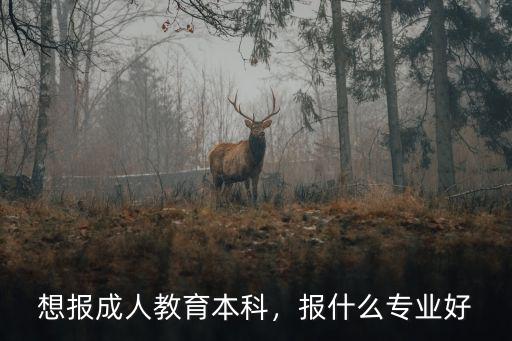 本科报什么,想报成人教育本科