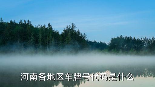 河南各地区车牌号代码是什么