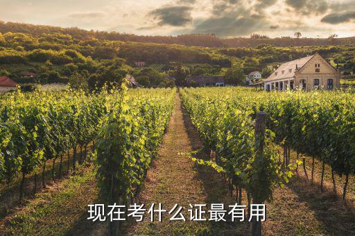 现在考什么证最有用