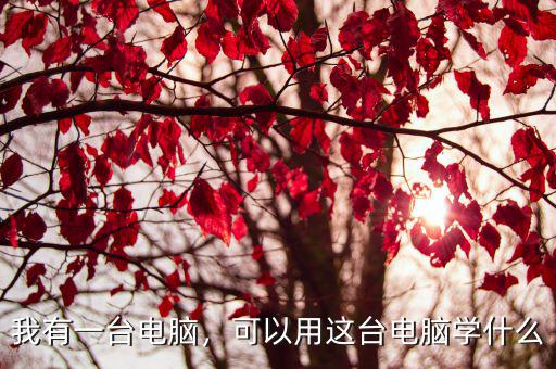 我有一台电脑，可以用这台电脑学什么